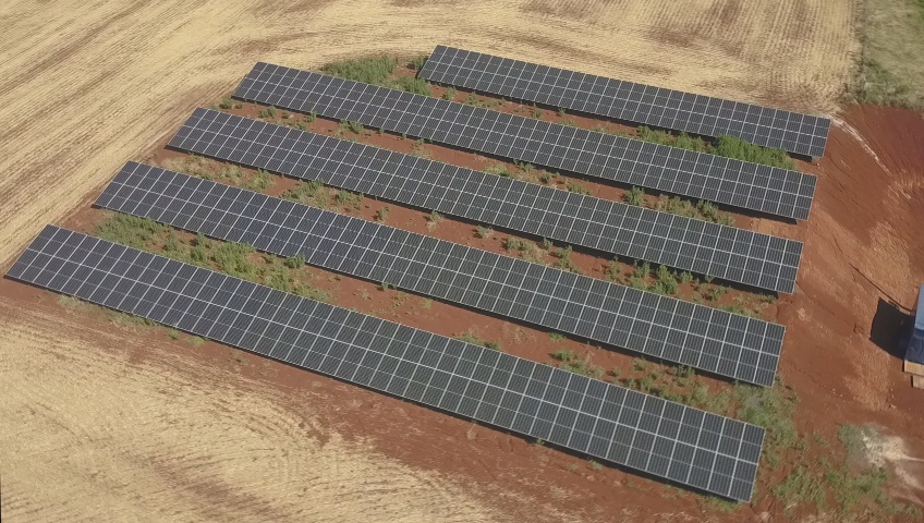 Plantimar